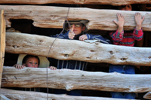 Kyle, Jace, and Kade Brown, Brown Ranch, Folsom NM, 2010, by Tim Keller