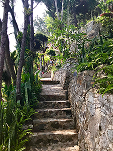 Steep handmade stairway ascends from La Casa del Mundo office to upper rooms.