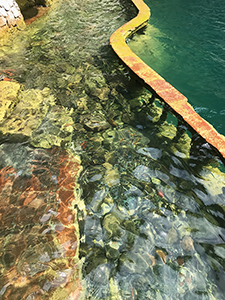 Rising lake levels on Lago de Atitlan at La Casa del Mundo terraces, 2019