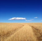 Cloud Road, Bartlett Mesa, Raton
