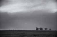 High Plains, I-25 at Colmor, New Mexico