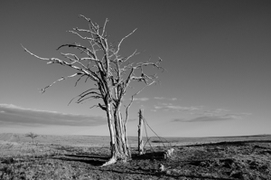 History, Weatherly Road