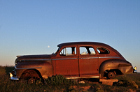 Out to Pasture