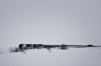Train in Snow, Des Moines, New Mexico
