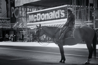 Times Square - NYPD horse, McDonald's