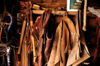 Chaps, Brown Ranch, Folsom NM