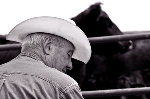 Jack, cowboy in southeastern Colorado at Sumpter branding 2008