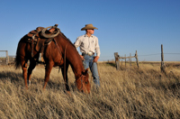 Paul Grice, Roy NM