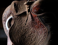 "Saddle in Storage",  Sumpter Ranch,  Colorado