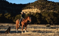 Sierra Horseback