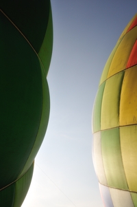 Balloons sublime in Raton's morning sun