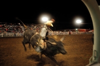 Navajo bullrider Guytin Tsosie - Raton Rodeo