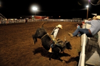 Navajo bullrider Guytin Tsosie - Raton Rodeo