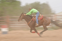 Reyenda's Flight