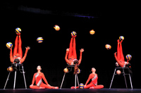 Balls - Golden Dragon Acrobats