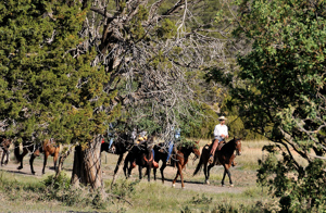 Long Riders, Western Horseman, Jeffers