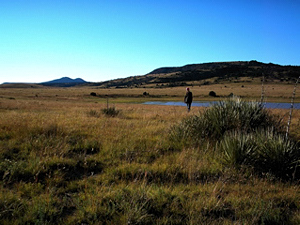 Chico, New Mexico, Christina Boyce