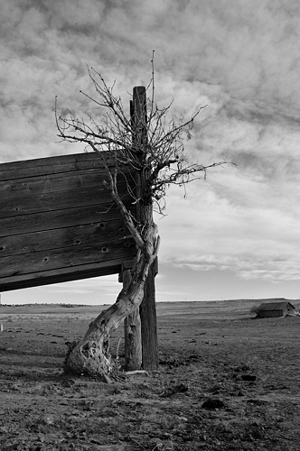 cattle loading chute near Aguilar, Colorado, by Tim Keller