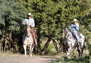 Nate Brown, Wyoming horseman