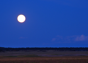 moonrise in New Mexico by Tim Keller