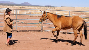 Brittany Rouse, horse trainer, New Mexico, Texas