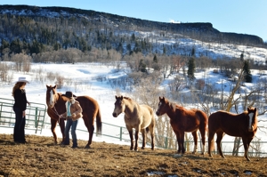 Micheli Walton and Anne Sporleder gather horses