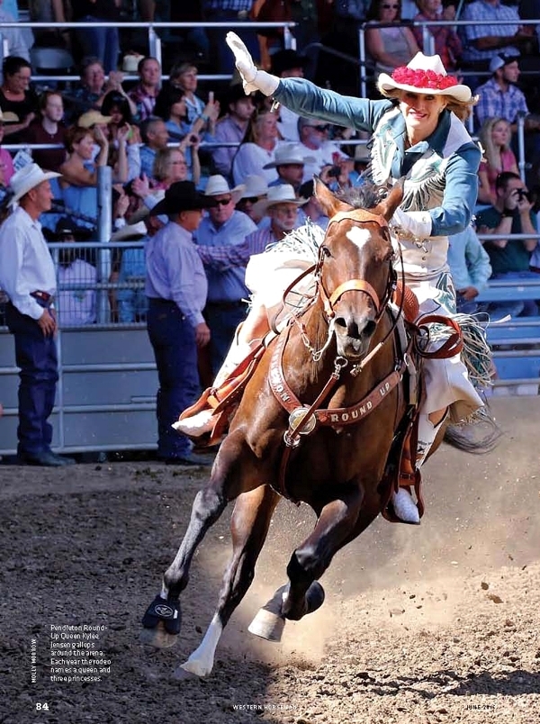 Arabian Wind - Western Horseman