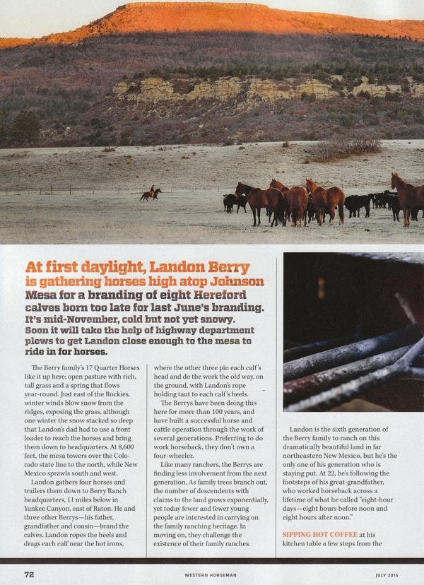 Arabian Wind - Western Horseman