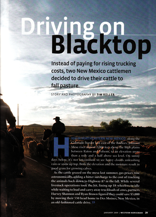 Driving on Blacktop, Western Horseman, January 2009, cattle drive