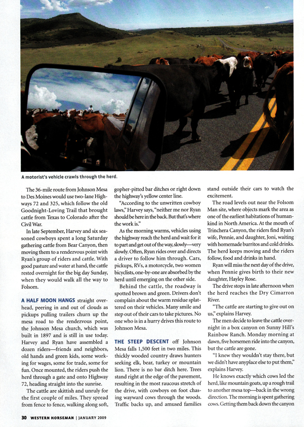 Driving on Blacktop, Western Horseman, January 2009, cattle drive