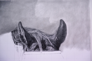 Dino Cornay pencil drawing in progress