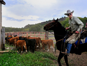 Harvey Shannon of Des Moines, New Mexico, Addicted to Cattle, RANGE Magazine Winter 2010